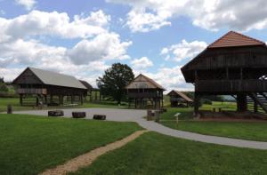 Dežela kozolcev 16.5.2016-2